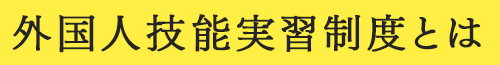 外国人技能実習制度とは  